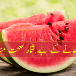 wmelon fet-01