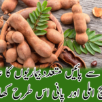 feature image of tamarind e